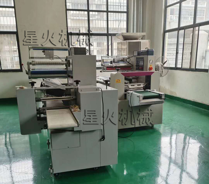 一次性口罩包裝機(jī)器